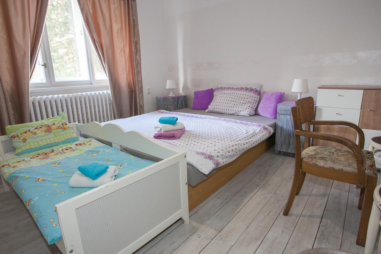 Vila Sazava Exteriér fotografie