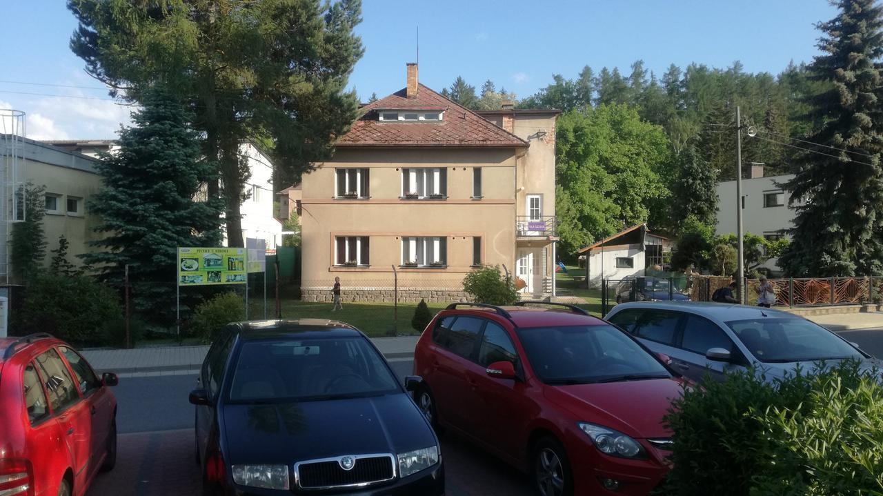 Vila Sazava Exteriér fotografie